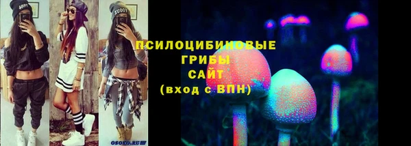 скорость Алзамай