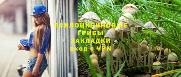 метадон Алексин