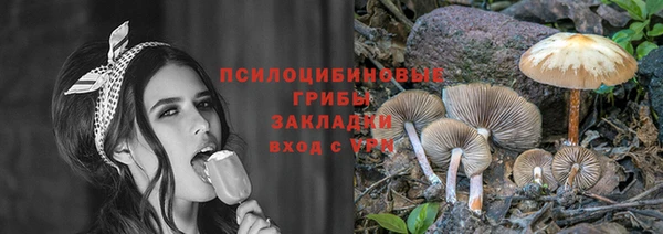 скорость Алзамай