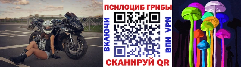 Псилоцибиновые грибы Cubensis  Катайск 